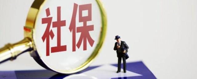 怎么查自己交的社保