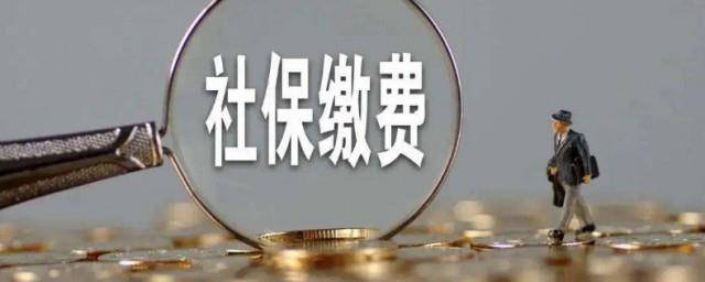社保比例怎么算