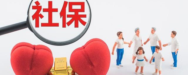 怎样查询个人社保缴费情况