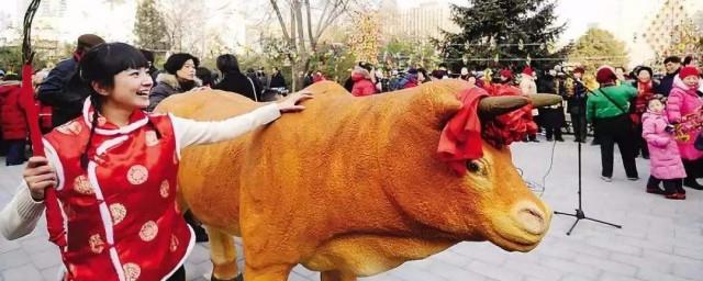 打春牛