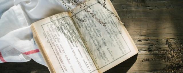 青春励志诗句七言绝句