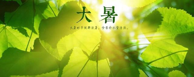 大暑文案