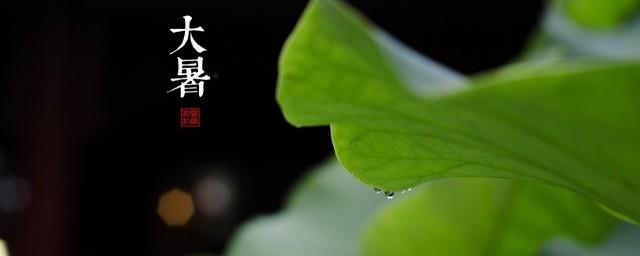 大暑节气祝福短信