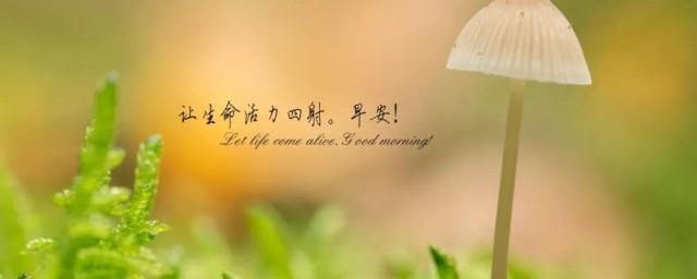 有关于吃苦励志的句子