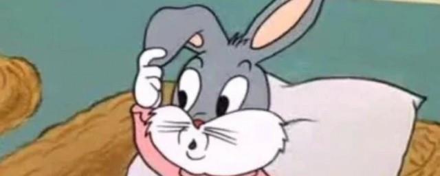 卡伊哇是什么意思