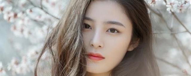姚晓棠演过什么