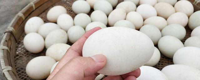 孕妇吃鹅蛋怎么吃