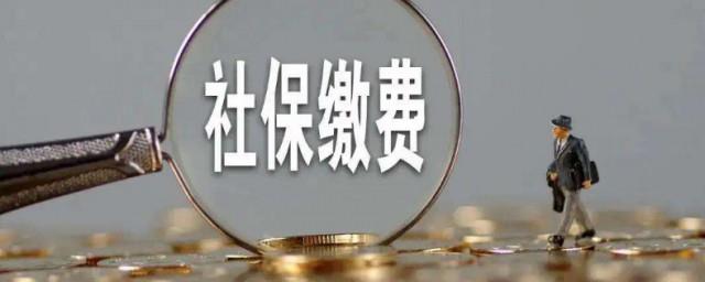 安徽社保怎么交费