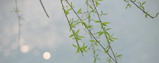 惊蛰人们开始干什么