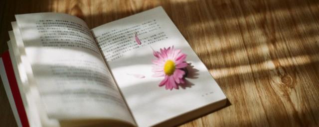 关于现实生活感悟句子有哪些