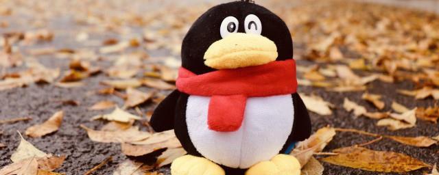 最新的分组名字