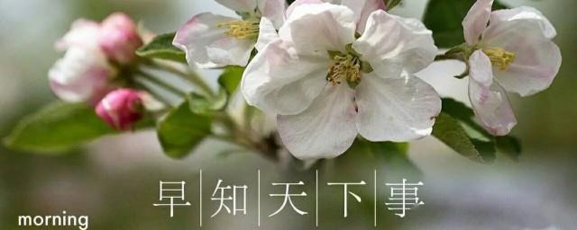 2022年农历三月十九适合开工吗