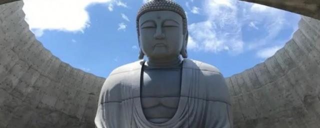 世界上最大的坐佛在哪里