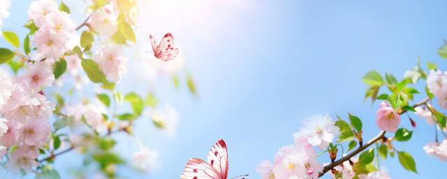 清明节心情说说难过