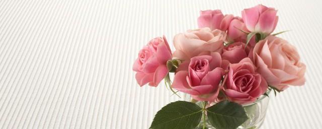 粉色玫瑰花的花语是什么啊
