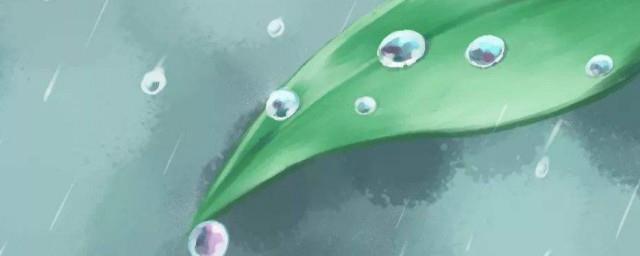 2022雨水节气经典文案
