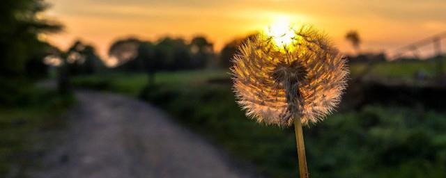 关于不舍的网名