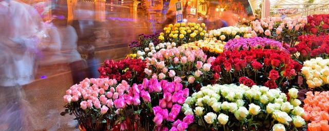 茂名的市花是什么花