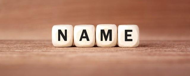 纯四个字诗意公会名字