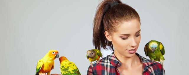 给小鸟取名字大全