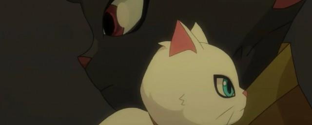 京剧猫中的黯是什么意思