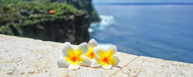 十一月的别称或美称