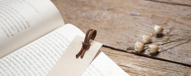 莫泊桑项链主旨