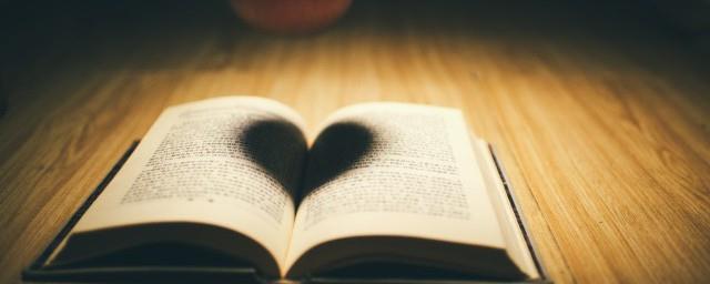 女孩名字木字旁的