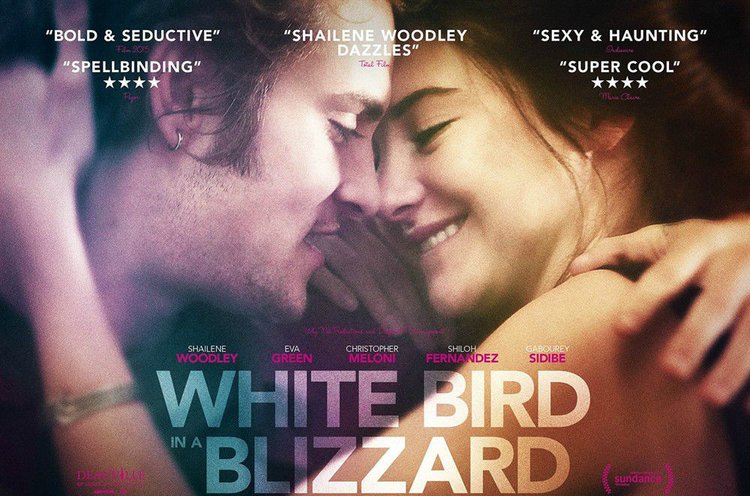 暴风雪中的白鸟是什么类型的电影？