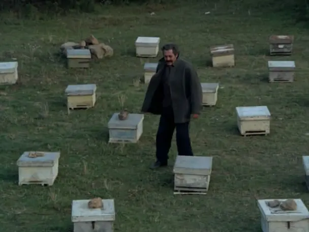 养蜂人电影什么时候上映的？
