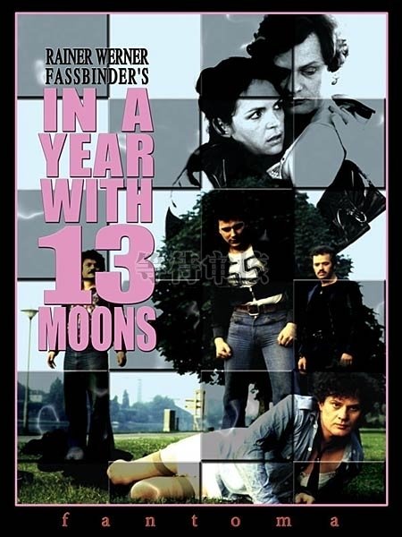 十三个月亮之年电影什么时候上映的？
