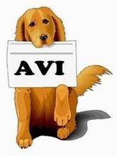 AVI格式是什么
