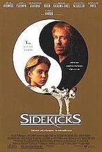 《sidekicks》影片剧情怎么样？