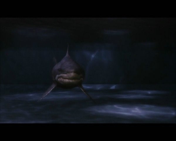 黑水狂鲨是什么类型的影片