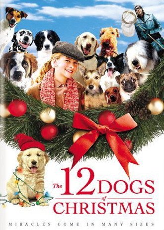 圣诞节的12只狗影片剧情怎么样