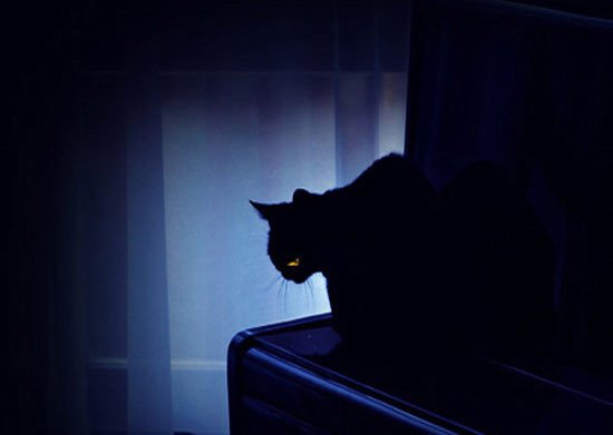 夜猫惊宅是什么类型的影片？