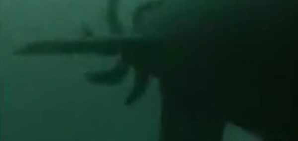 幽灵号潜艇是什么类型的电影？