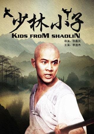 《Kids from Shaolin》影片讲的什么？