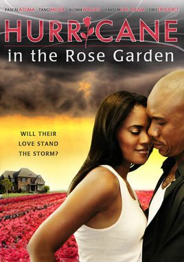 《玫瑰花园的飓风》电影什么时候上映的？