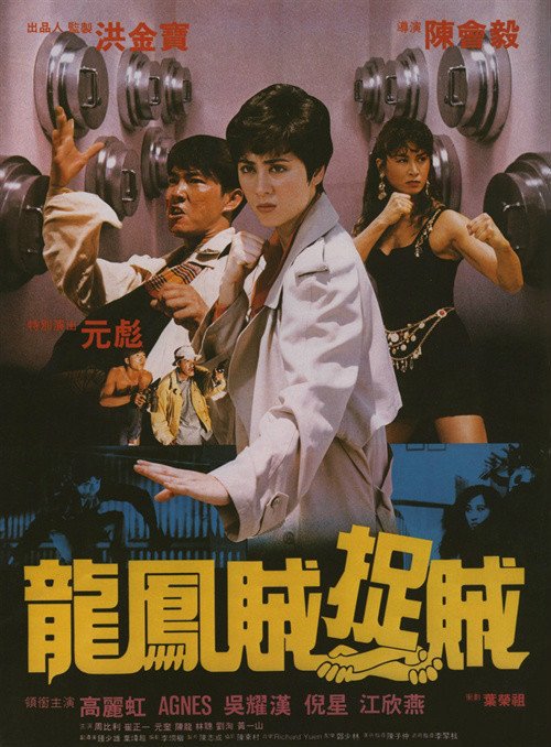 《龙凤贼捉贼》是由陈会毅执导,高丽虹,元彪,吴耀汉主演的动作电影.
