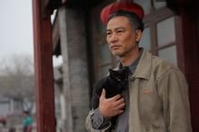 守望猫是哪部影片中的角色？