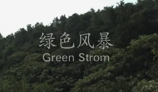 绿色风暴的导演是谁？