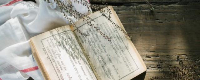 立夏出生的女孩名字