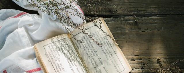 假面娇妻丁洁剧情梗概