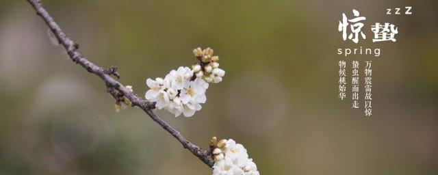 24节气里惊蛰的蛰是什么意思