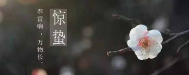 2022年惊蛰有什么宜忌
