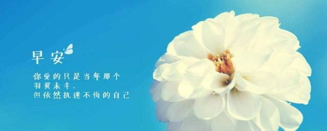 早安心话简短