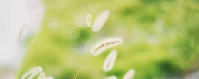 2022夏至节气说说心情短语