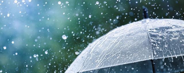 雨水节气下雨有什么预兆