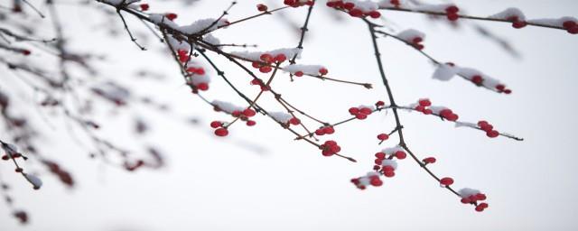 小雪节气的习俗有哪些